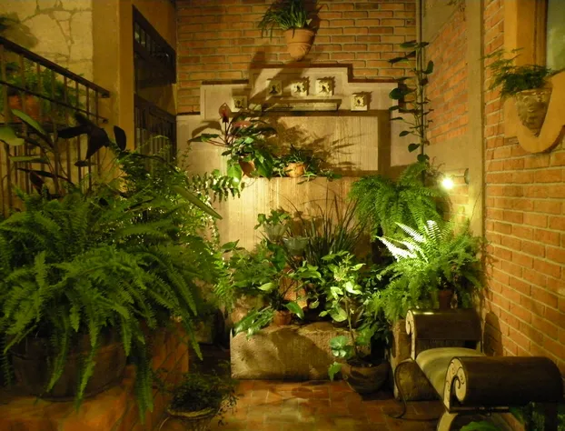 Casa Embrujo Morelia - Boutique hotel detail image 4