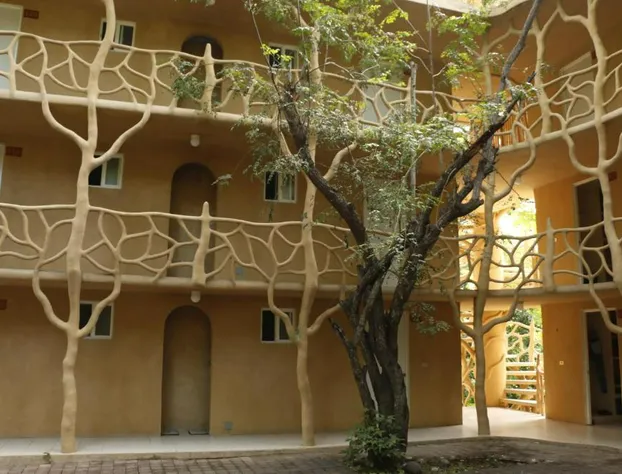 Hotel Carrizal Spa hotel detail image 4