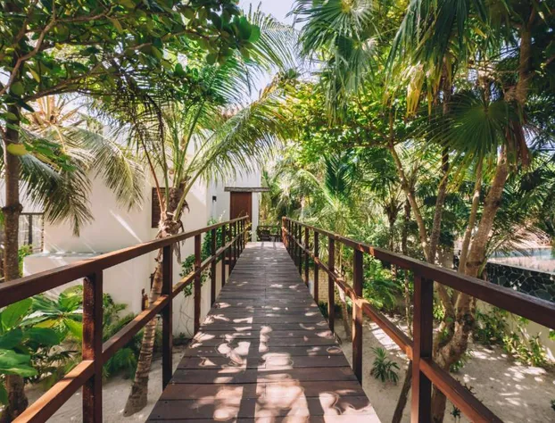 Chiringuito Tulum hotel detail image 1