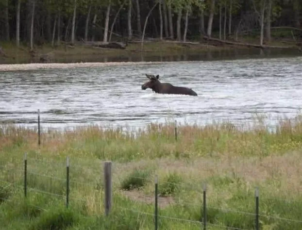 Bitterroot River B&B hotel detail image 3