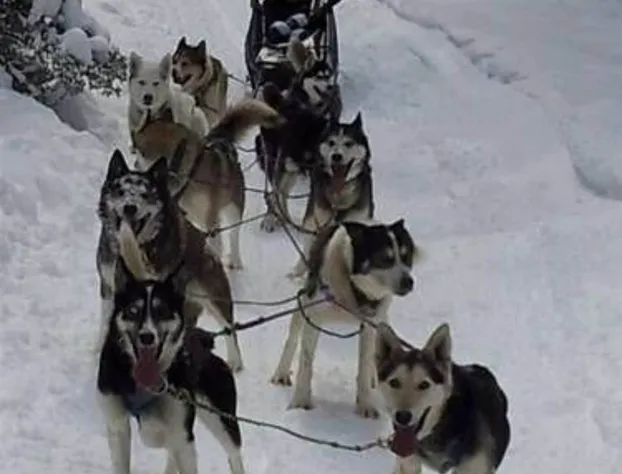 Bitterroot River B&B hotel detail image 4