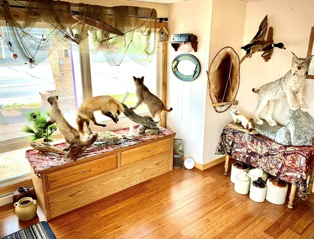 Forest Lake Motel hotel detail image 2