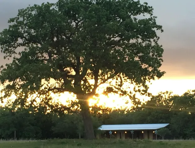 Night Bird Ranch hotel detail image 1
