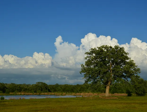Night Bird Ranch hotel detail image 2