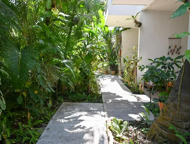 Hotel Palmeras hotel detail image 1