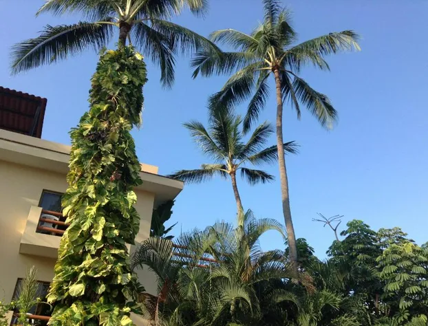 Hotel Palmeras hotel detail image 3