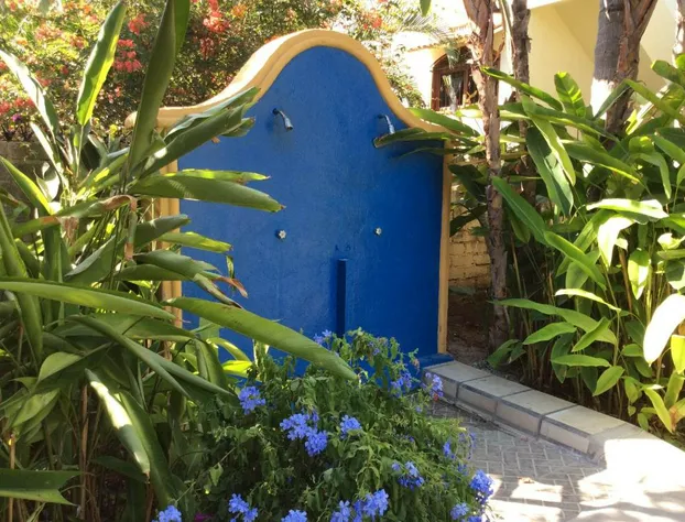 Hotel Palmeras hotel detail image 2