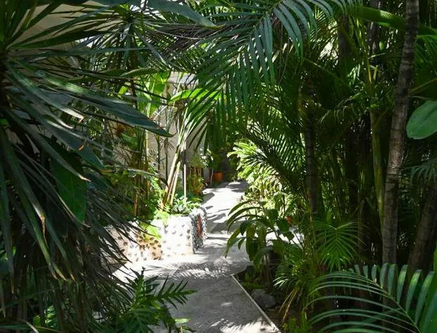 Hotel Palmeras hotel detail image 4