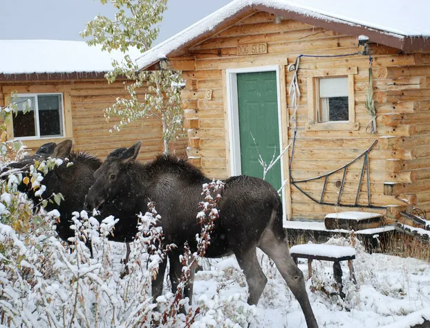 Earthsong Lodge hotel detail image 3