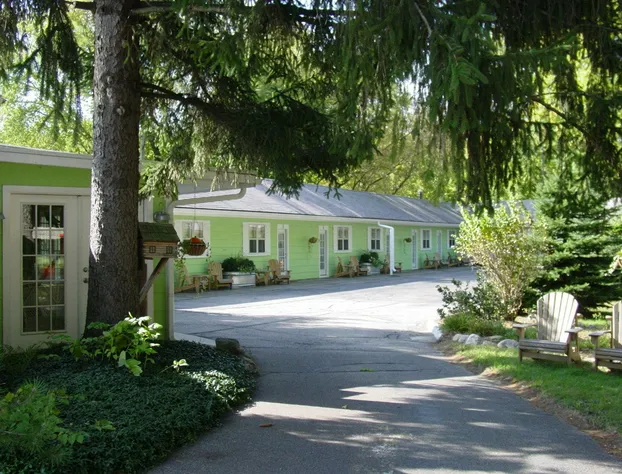 The Pines Motorlodge hotel detail image 1