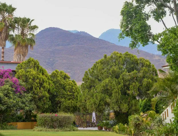 Hotel Hacienda Los Laureles - Spa hotel detail image 2