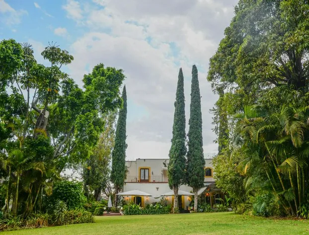 Hotel Hacienda Los Laureles - Spa hotel detail image 3