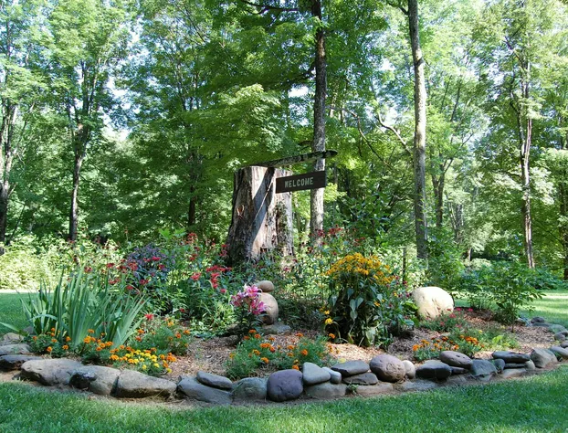 Wellnesste Lodge and Cabin Rentals hotel detail image 1