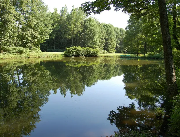 Wellnesste Lodge and Cabin Rentals hotel detail image 2