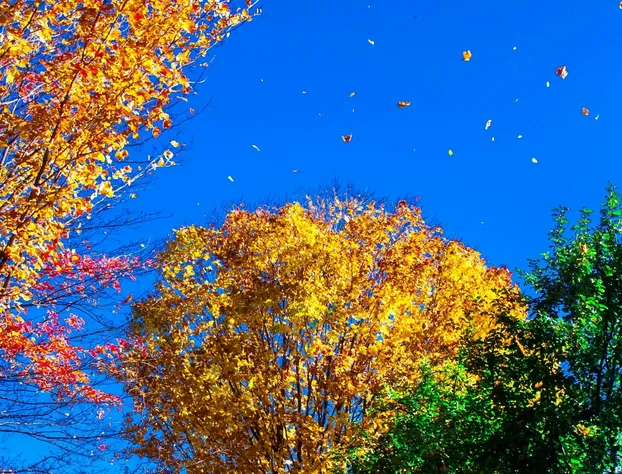 Innisfaire hotel detail image 4