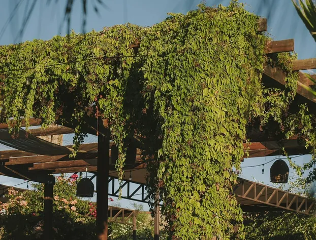 Luna del Valle hotel detail image 2