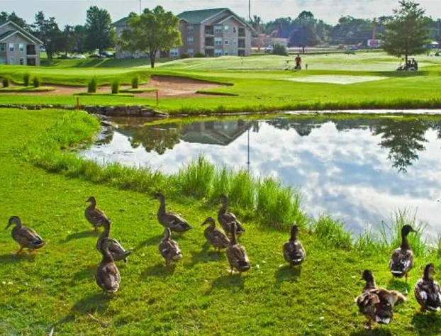 King Condo at Holiday Hills hotel detail image 3
