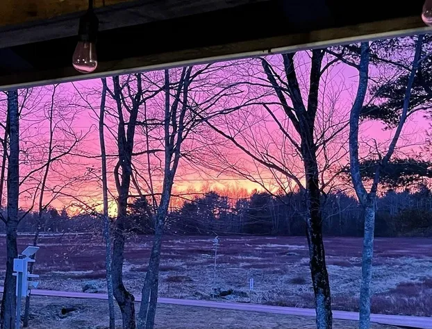 Blueberry Fields B&B hotel detail image 2