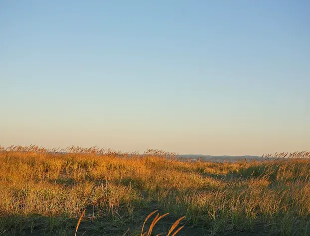Outlook Condos at Oyhut Bay Resort hotel detail image 4