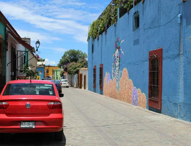 Hotel Boutique La Cochinilla hotel detail image 4