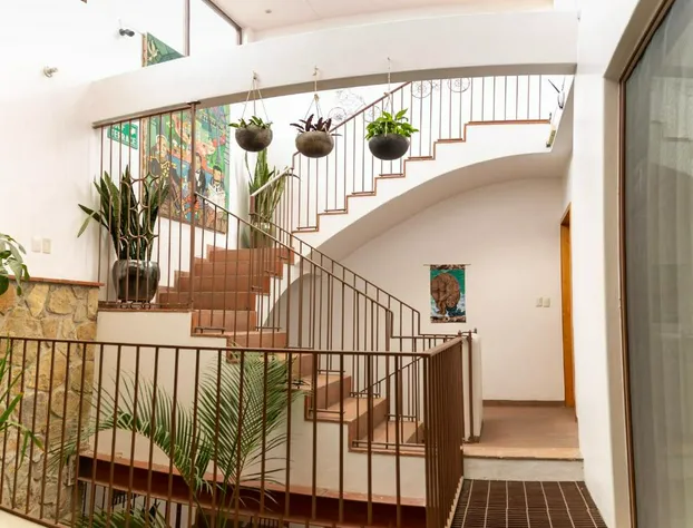 Hotel Boutique La Cochinilla hotel detail image 3