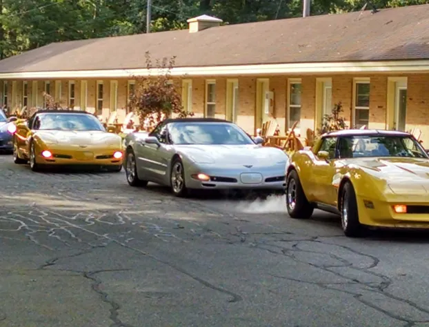 The Saugatuck Retro Resort Motel hotel detail image 2