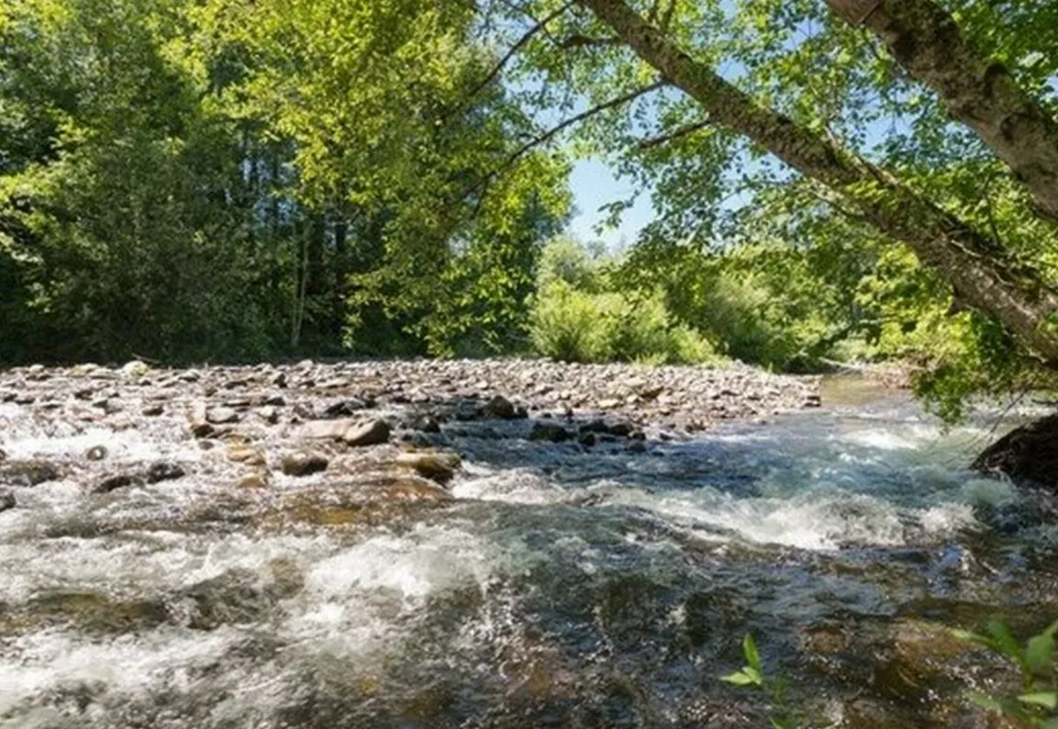 PuraVida Retreat hotel hero