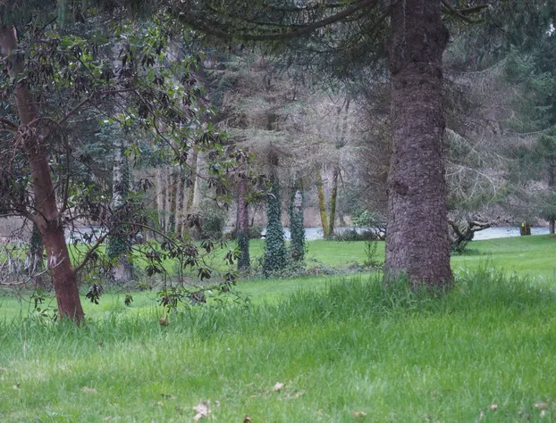 PuraVida Retreat hotel detail image 1
