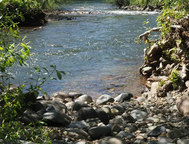PuraVida Retreat hotel detail image 3
