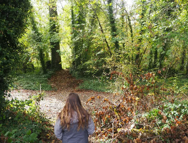 PuraVida Retreat hotel detail image 4