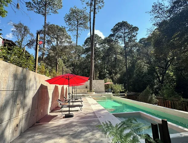 Encino House Hotel Boutique hotel detail image 4