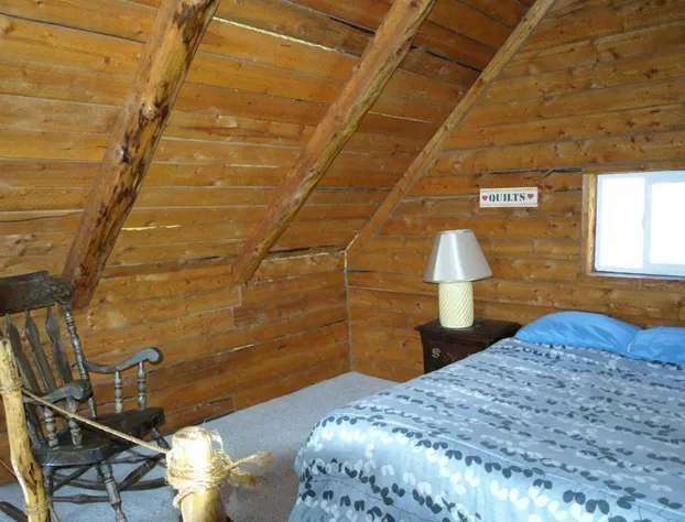 Brown Bear Saloon and Hotel hotel detail image 3