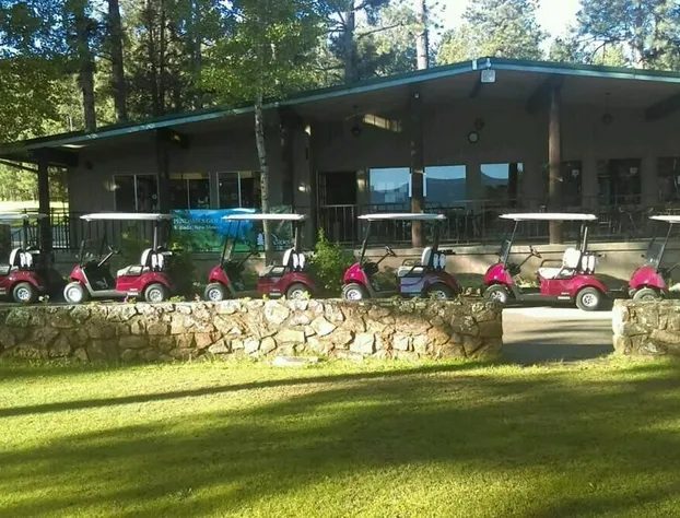 Pendaries Village Lodge hotel detail image 2