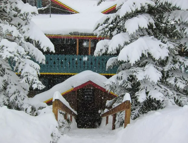 Chateau Apres Lodge hotel detail image 2