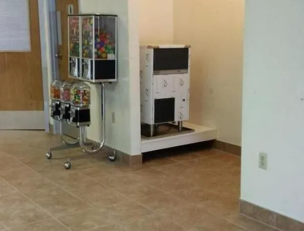 Royal Star Motor Inn hotel detail image 1