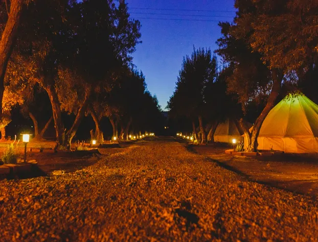 Guadalupe Valle Glamping hotel detail image 3