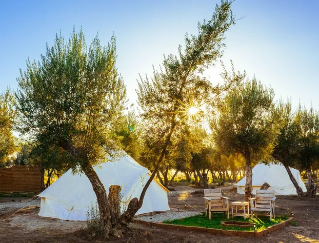 Guadalupe Valle Glamping hotel detail image 3