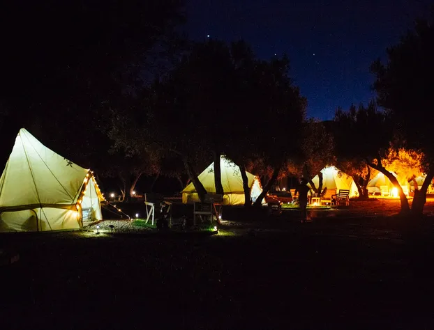 Guadalupe Valle Glamping hotel detail image 4