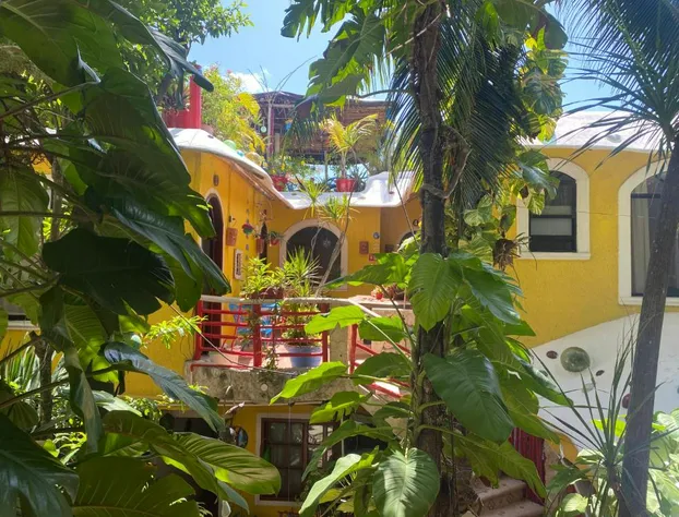 Maison Tulum hotel detail image 1