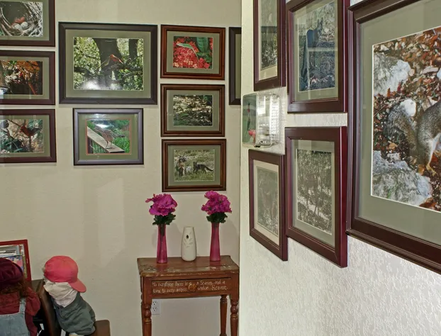 Prow'd House Bed & Breakfast hotel detail image 4