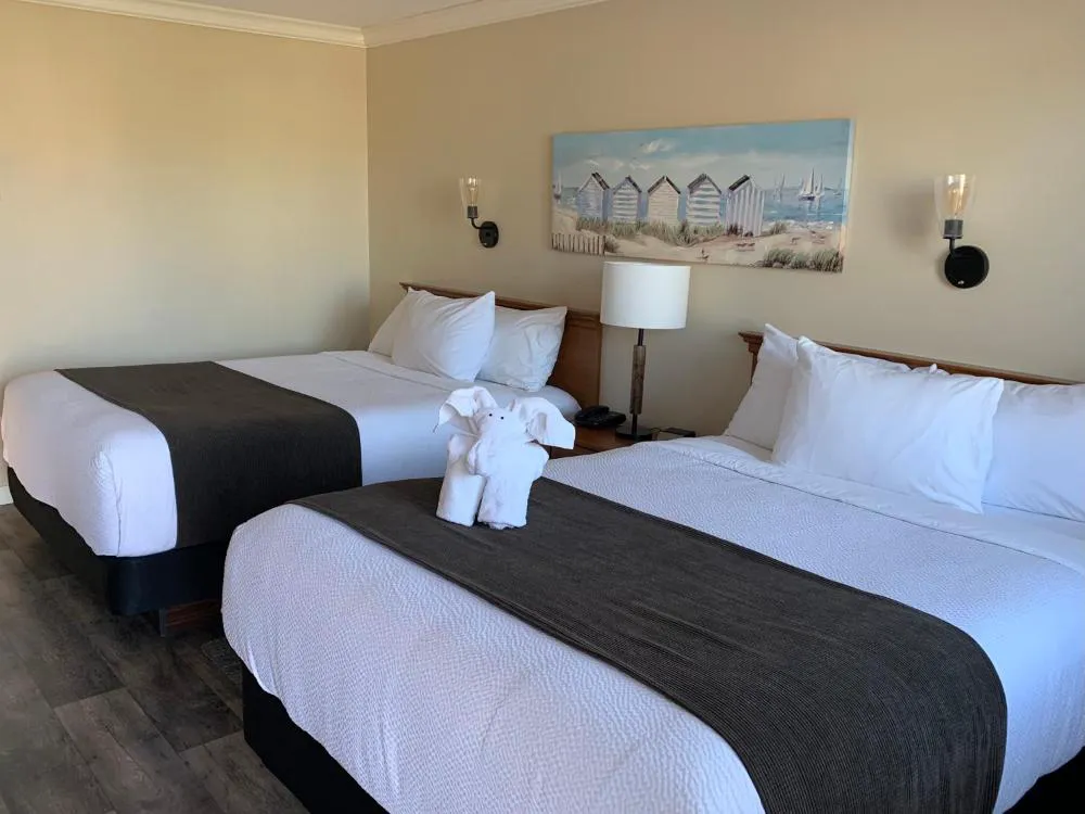 Cairns Motel hotel hero