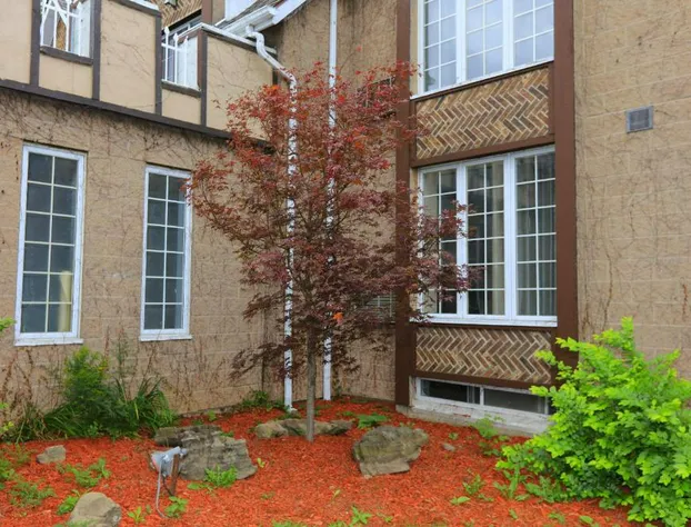 Fullerton Manor Inn hotel detail image 2