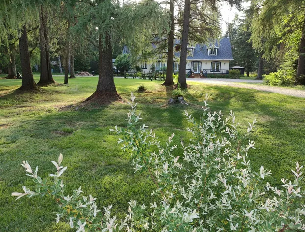 La Tremblante hotel detail image 4