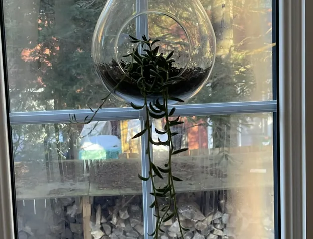 Le Pimbina hotel detail image 3