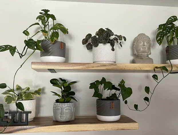 Le Pimbina hotel detail image 4