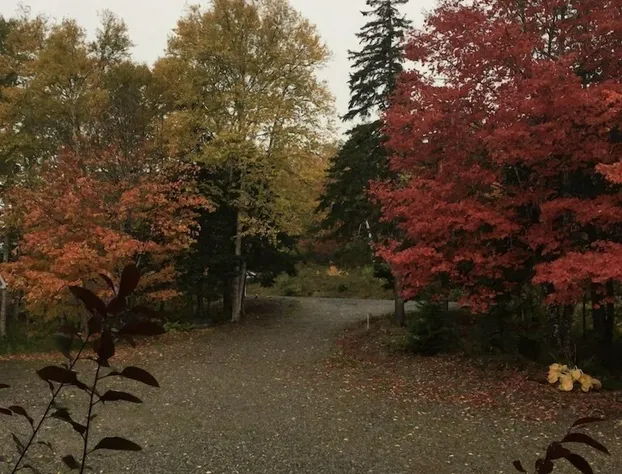 The Luckenbooth hotel detail image 4