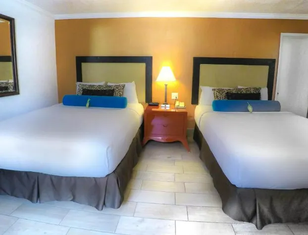 Adara Hotel Palm Springs hotel detail image 3