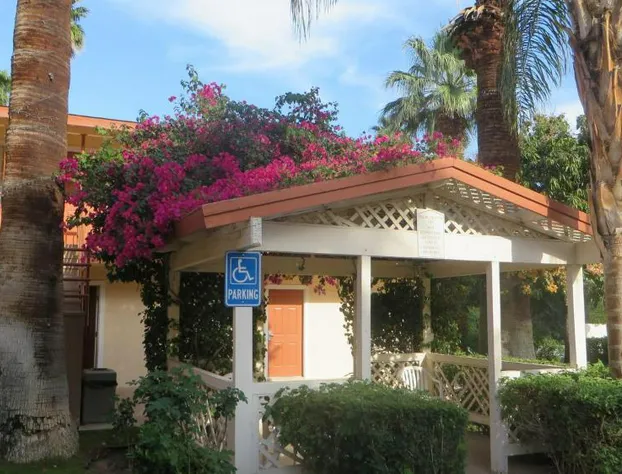 Adara Hotel Palm Springs hotel detail image 3