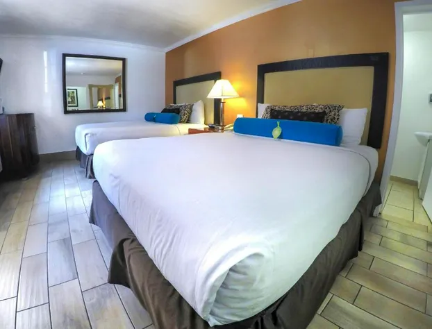 Adara Hotel Palm Springs hotel detail image 4