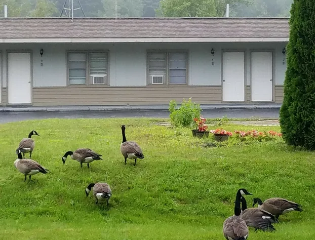 Becket Motel hotel detail image 1